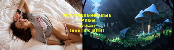 гидра Арсеньев