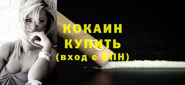 гидра Арсеньев