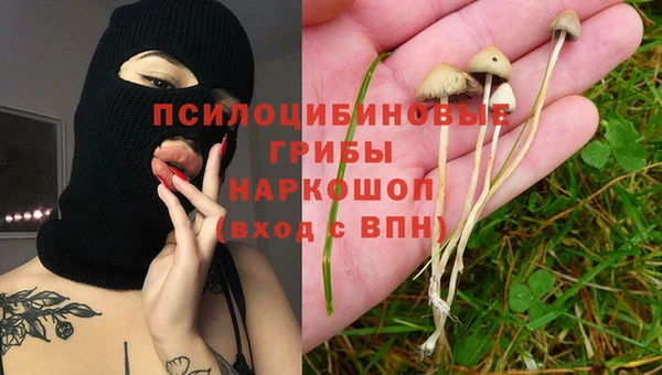 эйфоретик Армянск