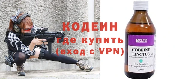 гидра Арсеньев