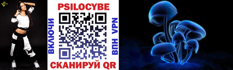 купить   мега   Галлюциногенные грибы Psilocybe  Полевской 